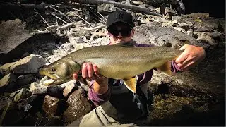 How To Catch HUGE Bull Trout - Streamer Fishing for Aggressive Fish (Tips & Tricks)