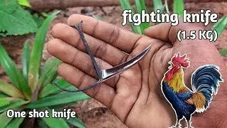 CHICKEN Fighting Knife made || Murga se ladai karne wala chura ||  🐔
