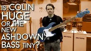 GIANT Ashdown Basses ???
