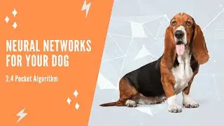 Neural Networks For Your Dog - 2.4 Pocket Algorithm