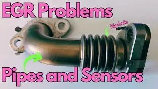 How to fix EGR Problems | Exhaust fumes in cabin | VW T6 Transporter