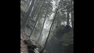 Ollie Moss - Indigo Lake | Ledges - EP