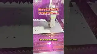 Solar Decorative Light Custom | Holiday Gift & Home Decor Expert Factory ✨
