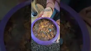 Licki Mat/Bowl for Dogs