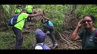 Hiking - La Tourelle du Tamarin