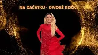 Na zač&aacute;tku - Divok&eacute; kočky