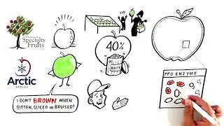 Arctic® Apples Explained