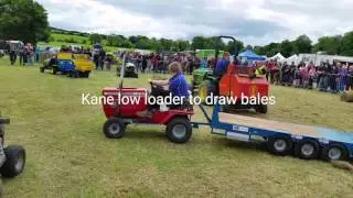 Murray, Connor and Gill Bros. The Grass lads at Claragh bridge vintage rally July 2016