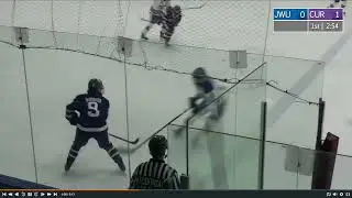 Danielle Reid #20 Hockey Highlights; Curry College &lsquo;25 (purple & white) 
