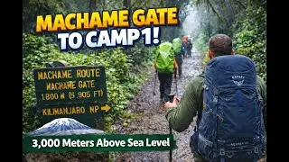Kilimanjaro Summit - Africa - Machame Gate & Camp 1. 3000m - Part3