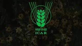 Everything about ICAR #icar #iari #agriculture #india #icarinstitutes #agriculturestudy