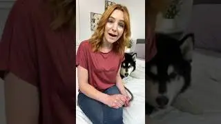 Rocky&rsquo;s ESA Letter Story | Fast & Legit ESA Letter Online &ndash; RealESAletter.com