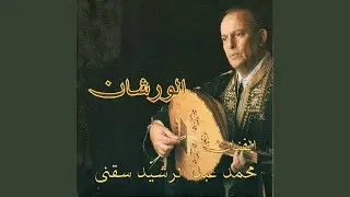 Ana ladi behoubek