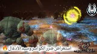استعراض ضرر تخصص الكواسر - قصر الألغاز لعبة أمل الشعوب
