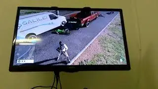 Patch dogs