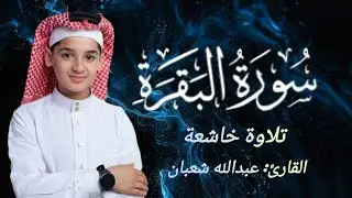 سورة البقرة كاملة لحفظ المنزل و رقية من السحر وجلب البركة || القارئ عبدالله شعبان Surah Baqara