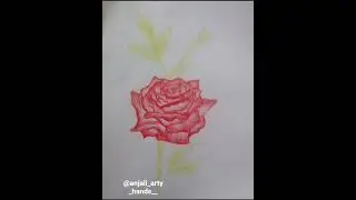 Rose Drawing with colour pencils#sketching #drawing #rose