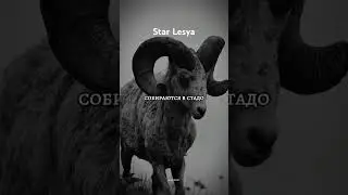 #status #story #starwars # #trending #gaming #истина