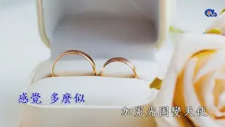 小玩意 | 彭羚 | 粵語 | 高清 | 伴唱版本 | 卡拉OK | KARAOKE | KTV