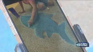 Hutchinson artist goes viral after landlord tells her to remove chalk art