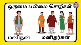 ஒருமை பன்மை சொற்கள் | Singular Plural Words | 1st Standard Syllabus & Kids | @AliceWorld-KidsTV