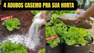 4 homemade fertilizers to boost your vegetable garden!