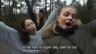 Bloggpost 7