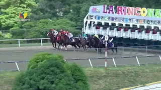 6&ordf;. carrera | XX 