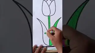 Green crayon #art #youtubeshorts #drawing #crayon #green #leafart #leafs #green #flowers #artwork