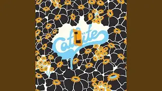 Amphetamine Delight (yeehaw Version)