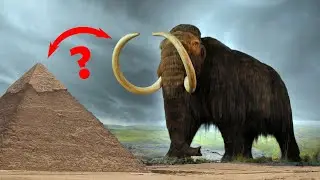 21 Weird History Facts in 3 Minutes!