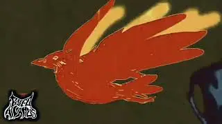 Bufo Alvarius - Grand Master