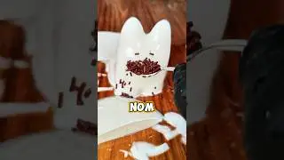 SUAPIN KUCING PUDING!