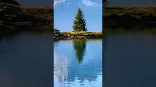 Peaceful Lake Water Sounds 🌊🧘 | 静かな湖の水音 | Ruhiger See & Wasser | शांत झील की आवाज़