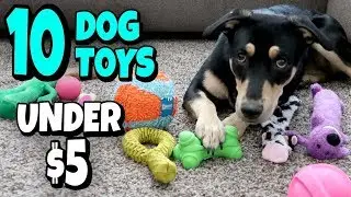10 Amazon Dog Toys For Under $5 💙 I Am Kristin