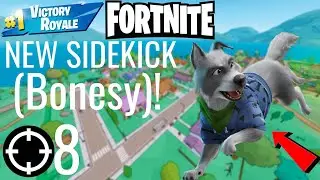 Playing Fortnite SIMPSONS Solo NEW SIDEKICK (Bonesy)!