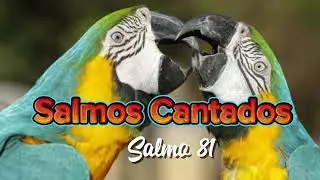 Salmo 81 - adora&ccedil;&atilde;o jubilosa a Deus, acompanhado de uma exorta&ccedil;&atilde;o &agrave; obedi&ecirc;ncia e &agrave; escuta da Sua voz