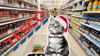 Christmas Food Shop - Winter Food Prices in Tesco 2022