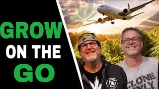 I Let My Grow Run Itself... Here's What Happened