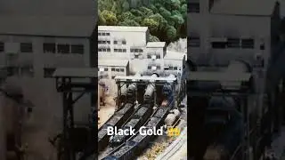 jharkhand is a 👑 of Black Gold #realshort2024#indiancoal