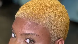 Freehand Scissor Haircut & Color #thebigchop  #shorthair  #africanamericanhair #blackhair