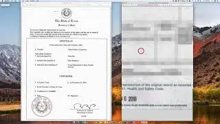 How to Apostille a Texas Birth Certificate