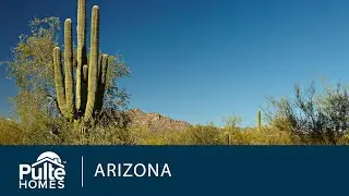 New Homes in Tucson | Saguaro Reserve at Dove Mountain | Home Builder | Pulte Homes