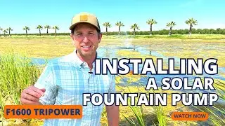Installing A Solar Fountain Pump To Fight Algae Growth | RPS F1600 Full Install Video