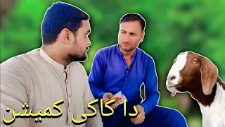 Da Bakra Chor na KAKI Commission waghasto! | Pashto Comedy Part 2 😂