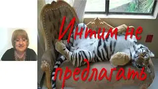 Интим не предлагать