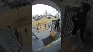 Porch Pirate vs. Rat: Ring Camera Catches the Wildest Chase Ever