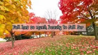 #Fallbeauty #autumn 🍂