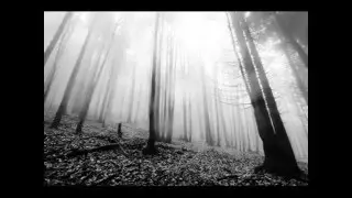 Depressive / Atmospheric Black Metal 1