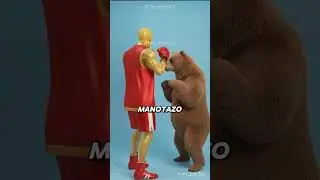&iquest;Un boxeador profesional podr&iacute;a vencer a estos animales? 🥊🦘🦁 #curiosidades #datoscurisos #viral